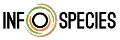 InfoSpecies